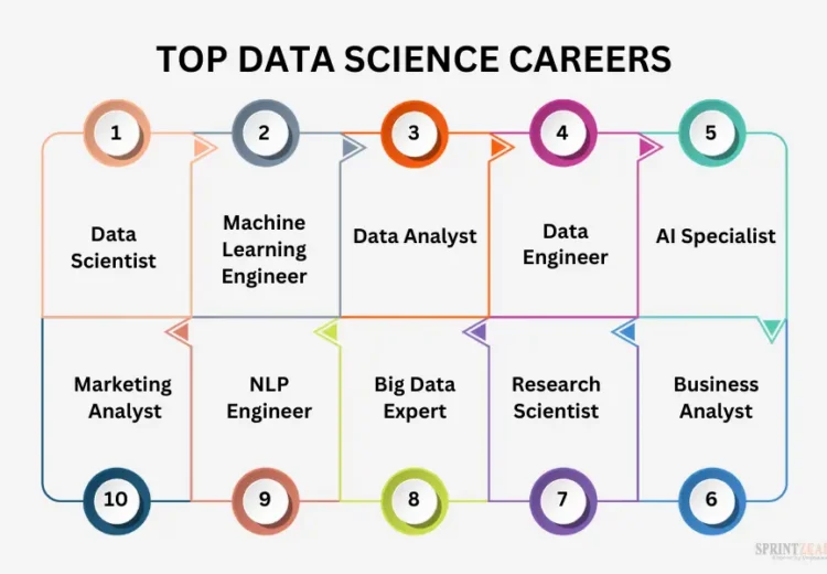 Data Science Careers in 2024