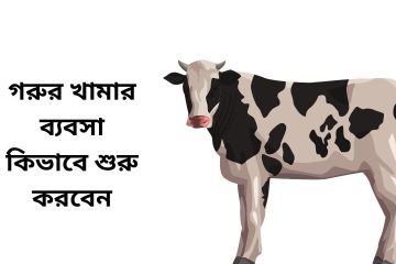 গরুর খামার ব্যবসা কিভাবে শুরু করবেন