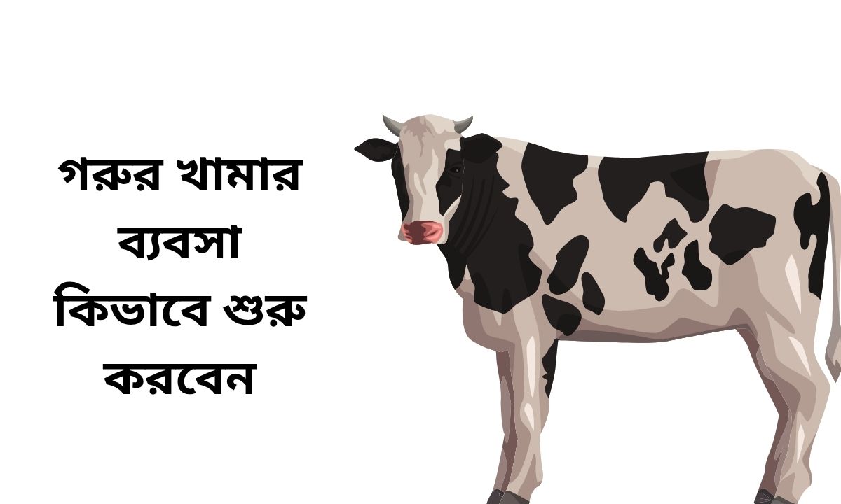 গরুর খামার ব্যবসা কিভাবে শুরু করবেন